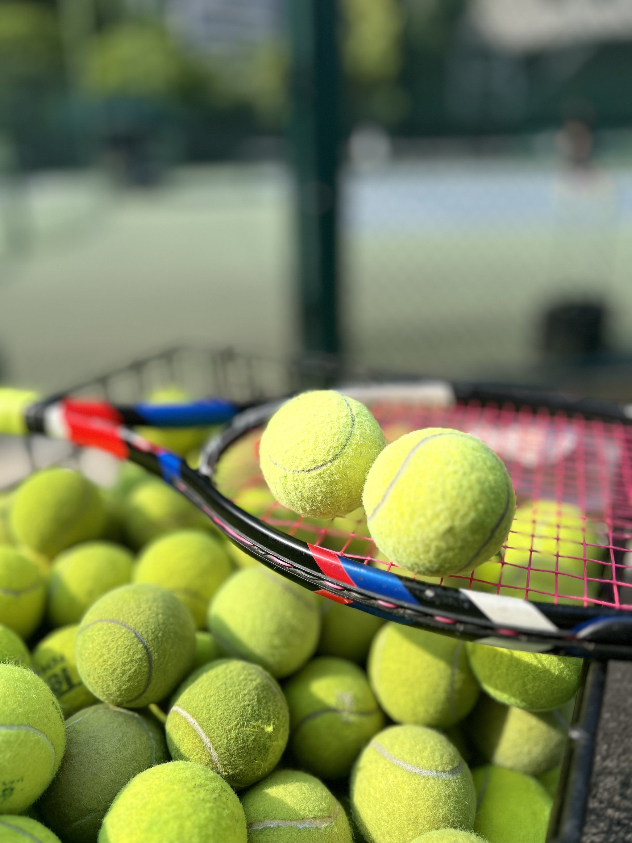 藏着许多不 藏着许多不