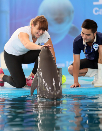 界中一段值 界中一段值