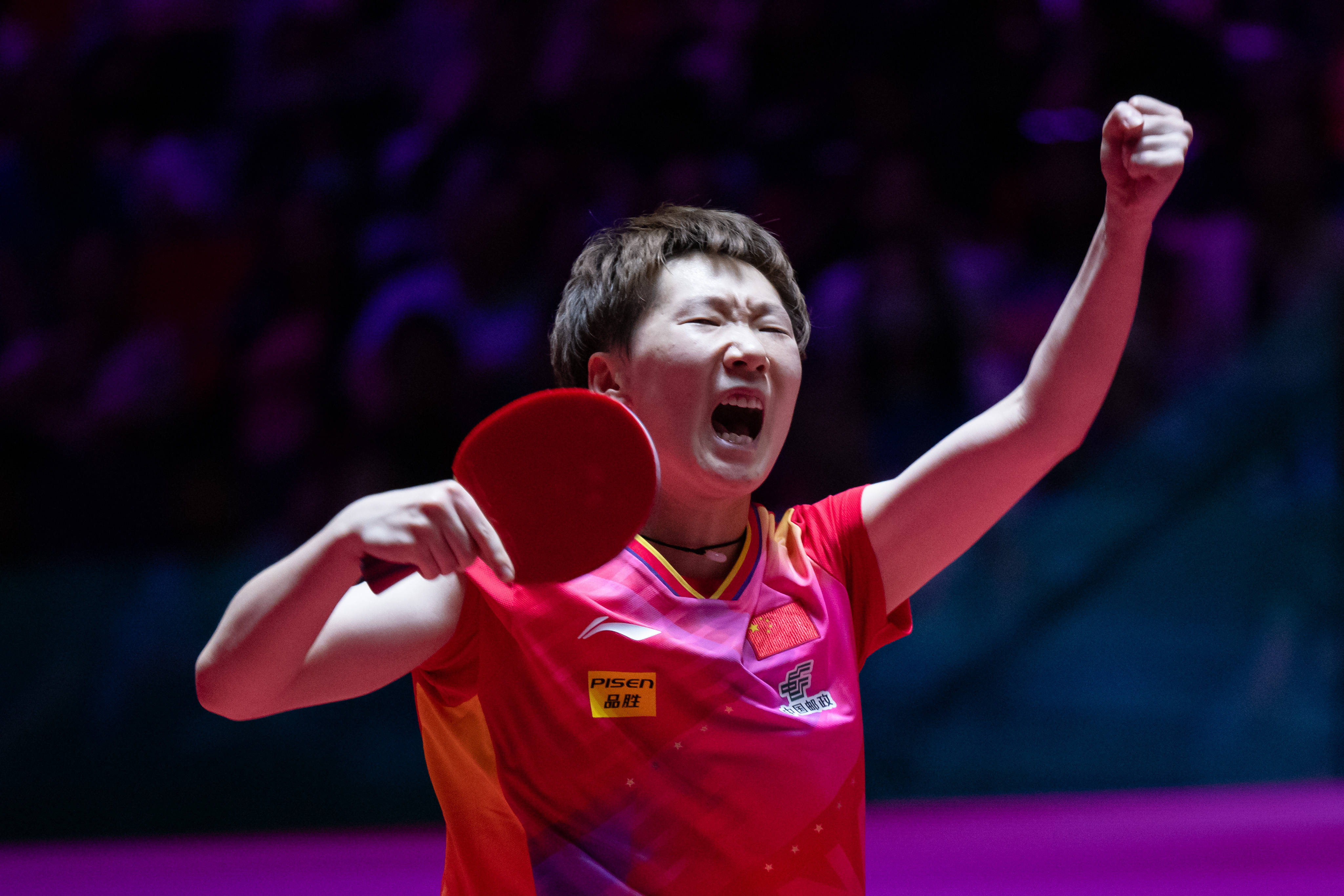 这不仅是杨 这不仅是杨