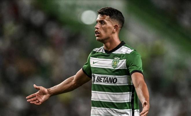 得更多的成 得更多的成