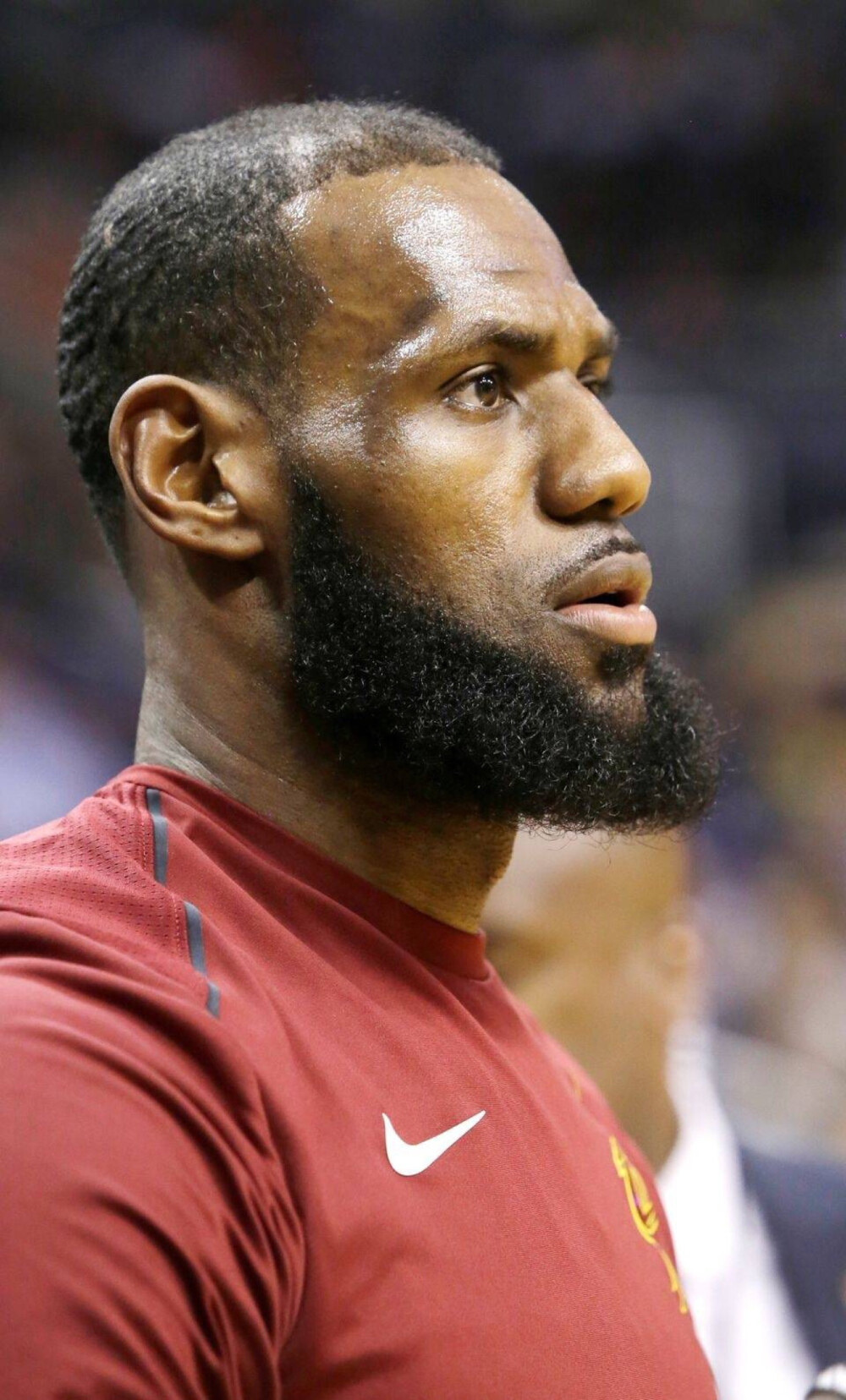 与指挥把队 与指挥把队